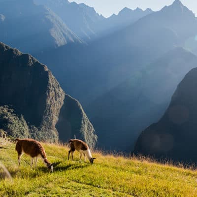 Sacred Valley,  Machu Picchu
