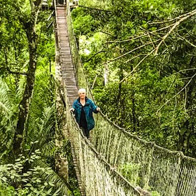 Peru Jungle Tours,  Rainforest  Tambopata